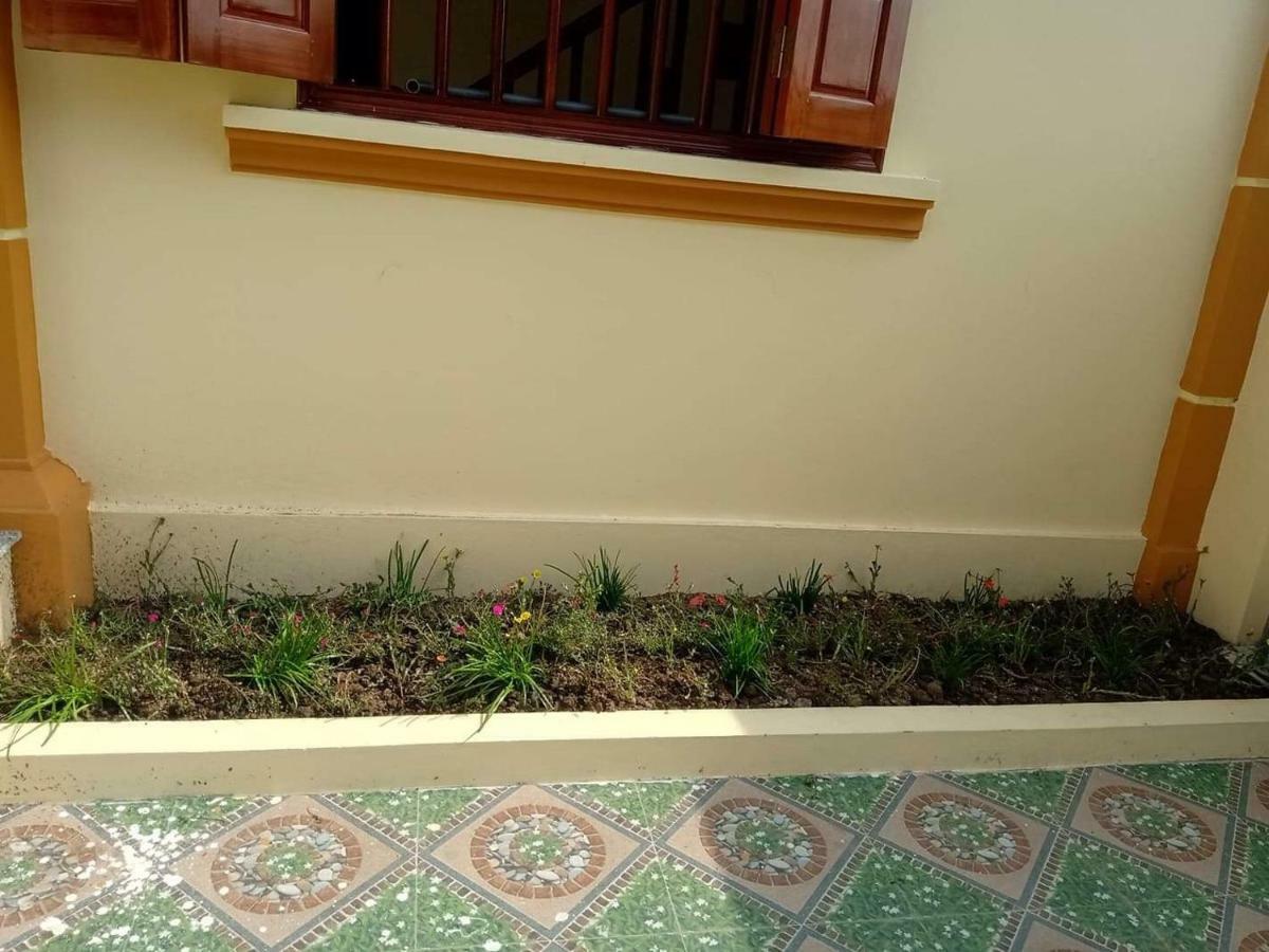 Linh Linh Homestay ニンビン エクステリア 写真